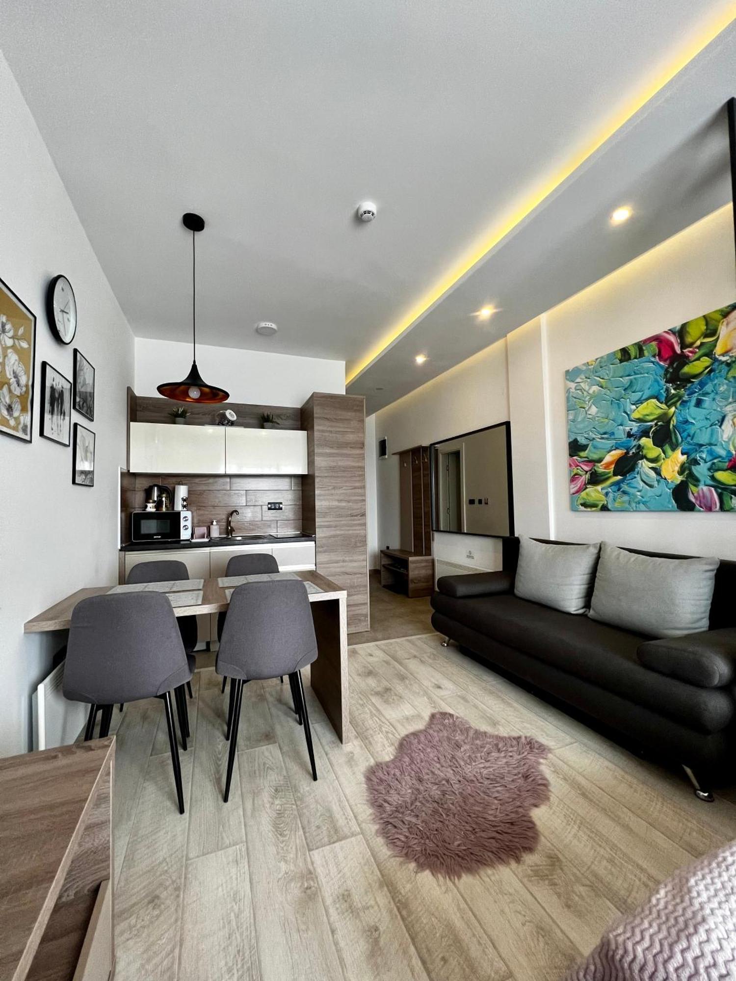 Vista Kopaonik Milmari Studio P22 外观 照片