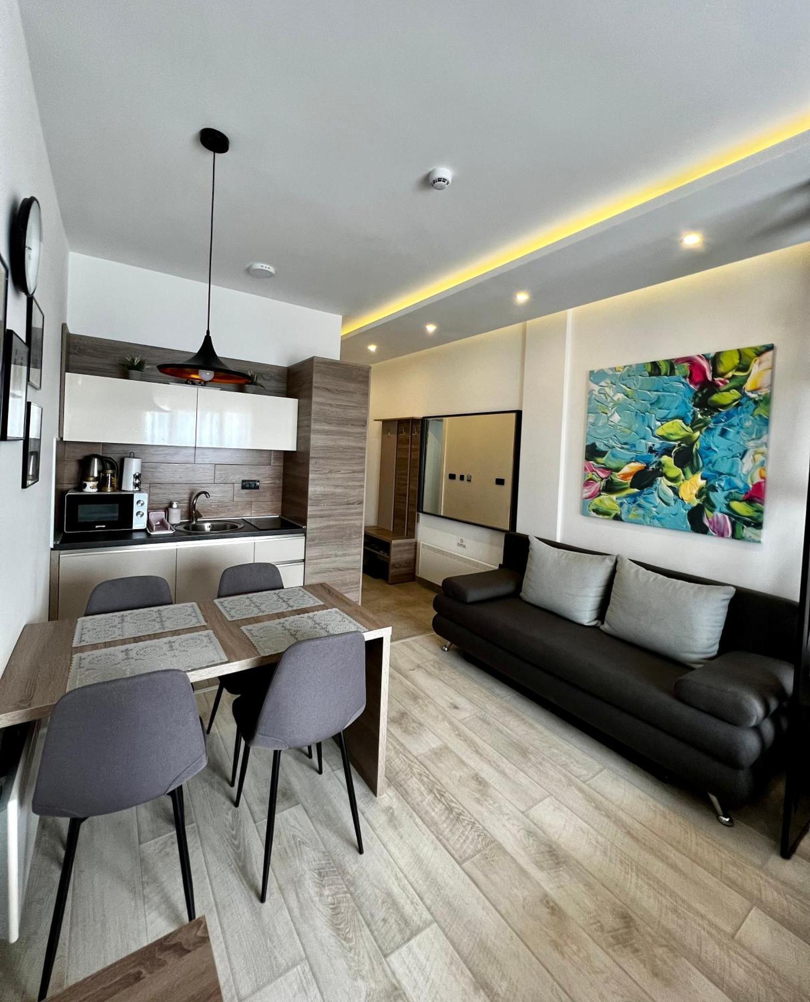Vista Kopaonik Milmari Studio P22 外观 照片